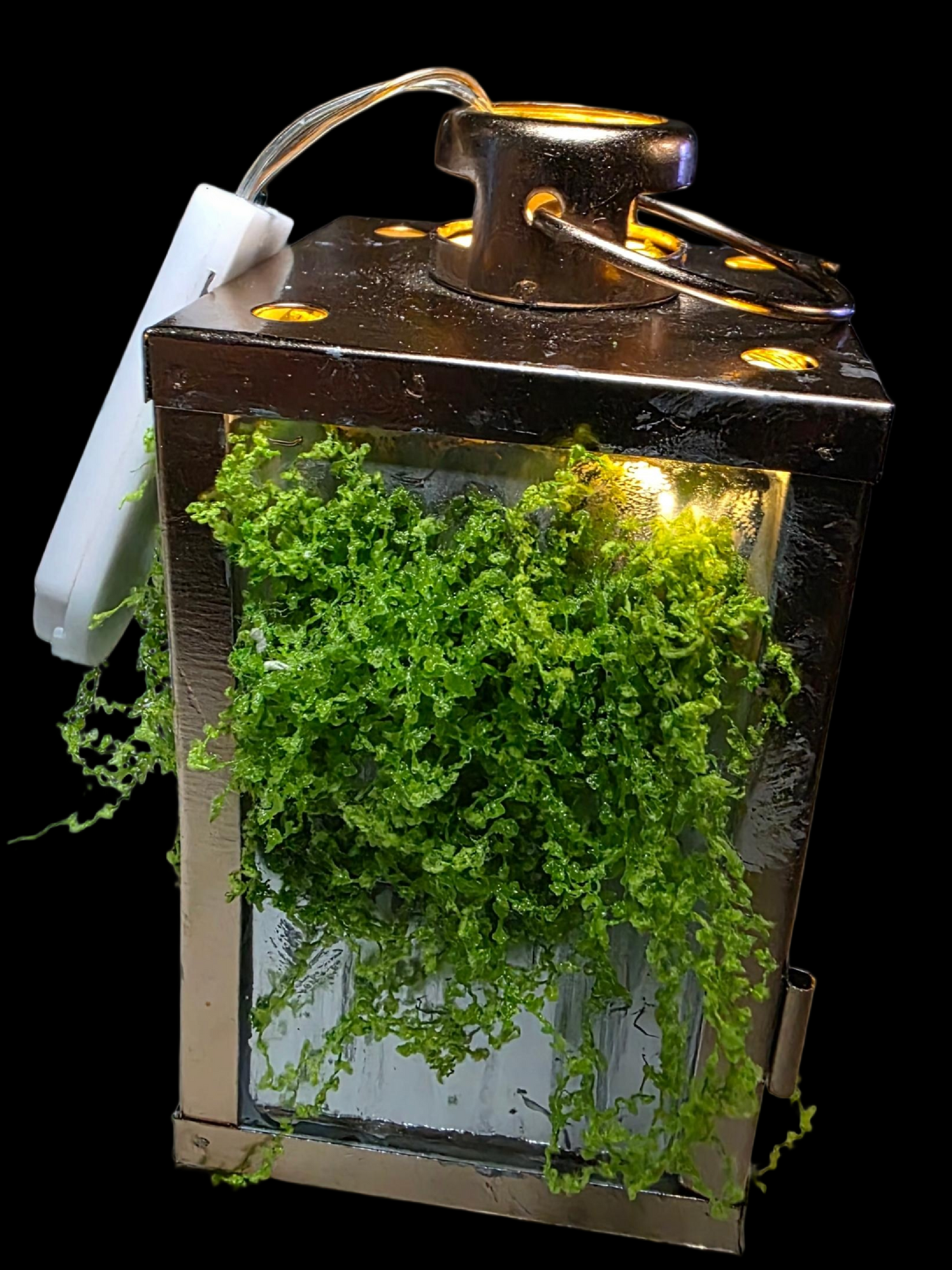 Handmade Unique Halloween Lantern Witches Hollow