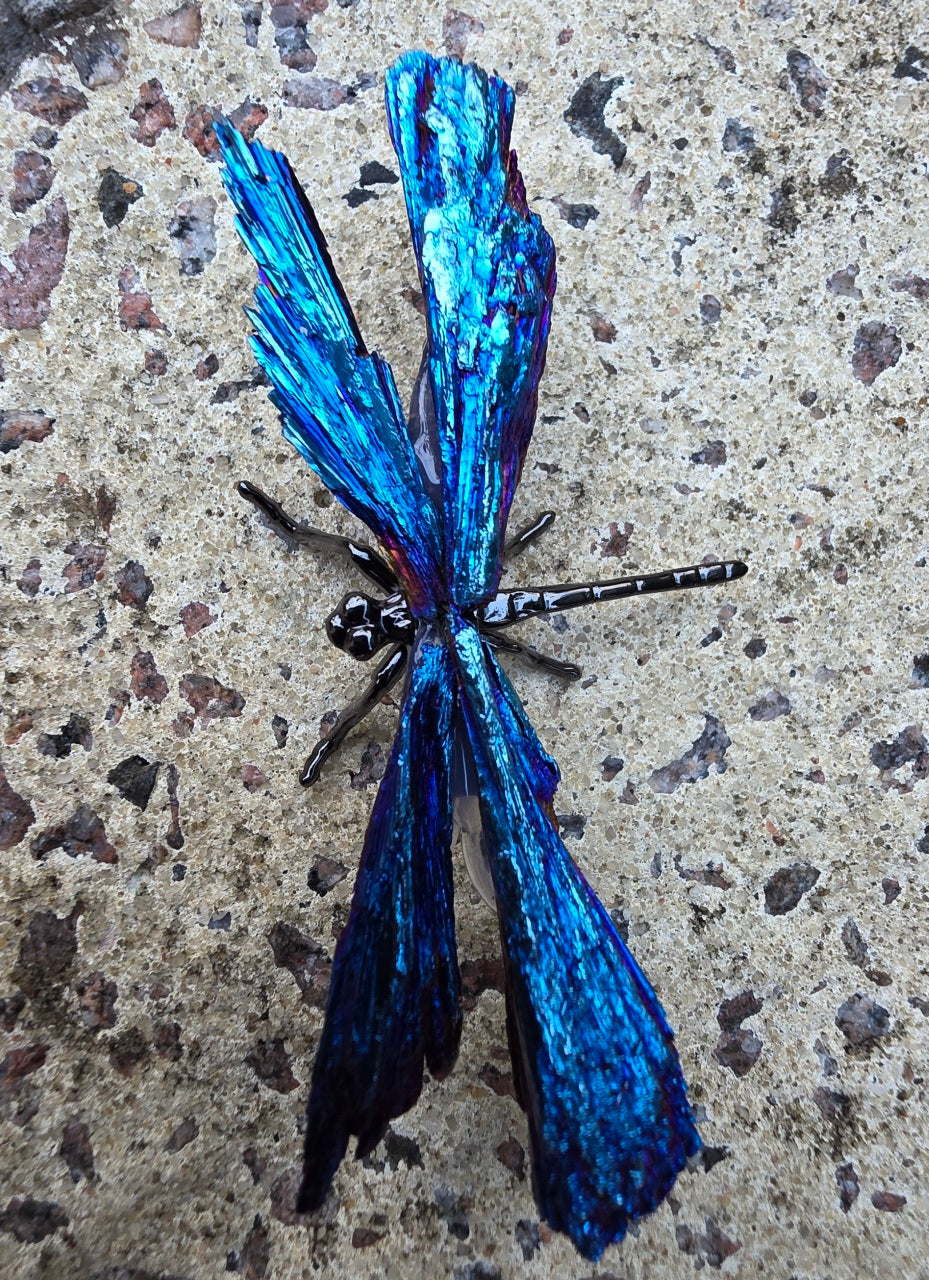 Natural Cryatal Colourful Blue Black Stone Dragonfly