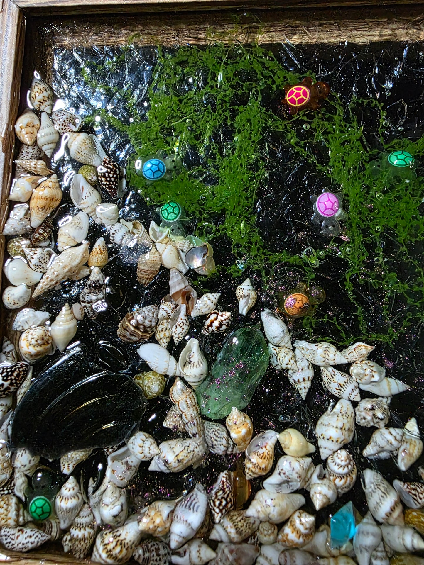 Unique Glass and Resin Art - Turtle Nursery