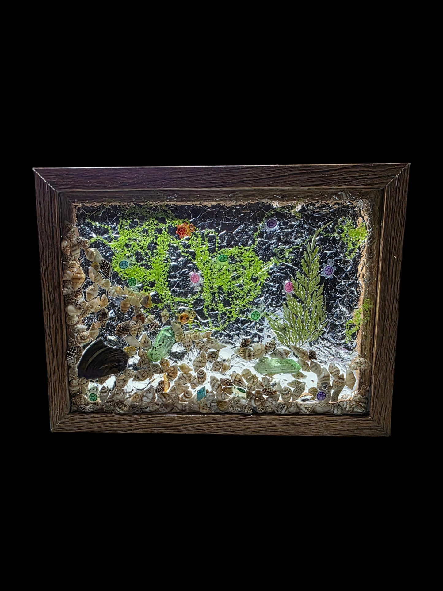 Unique Glass and Resin Art - Turtle Nursery