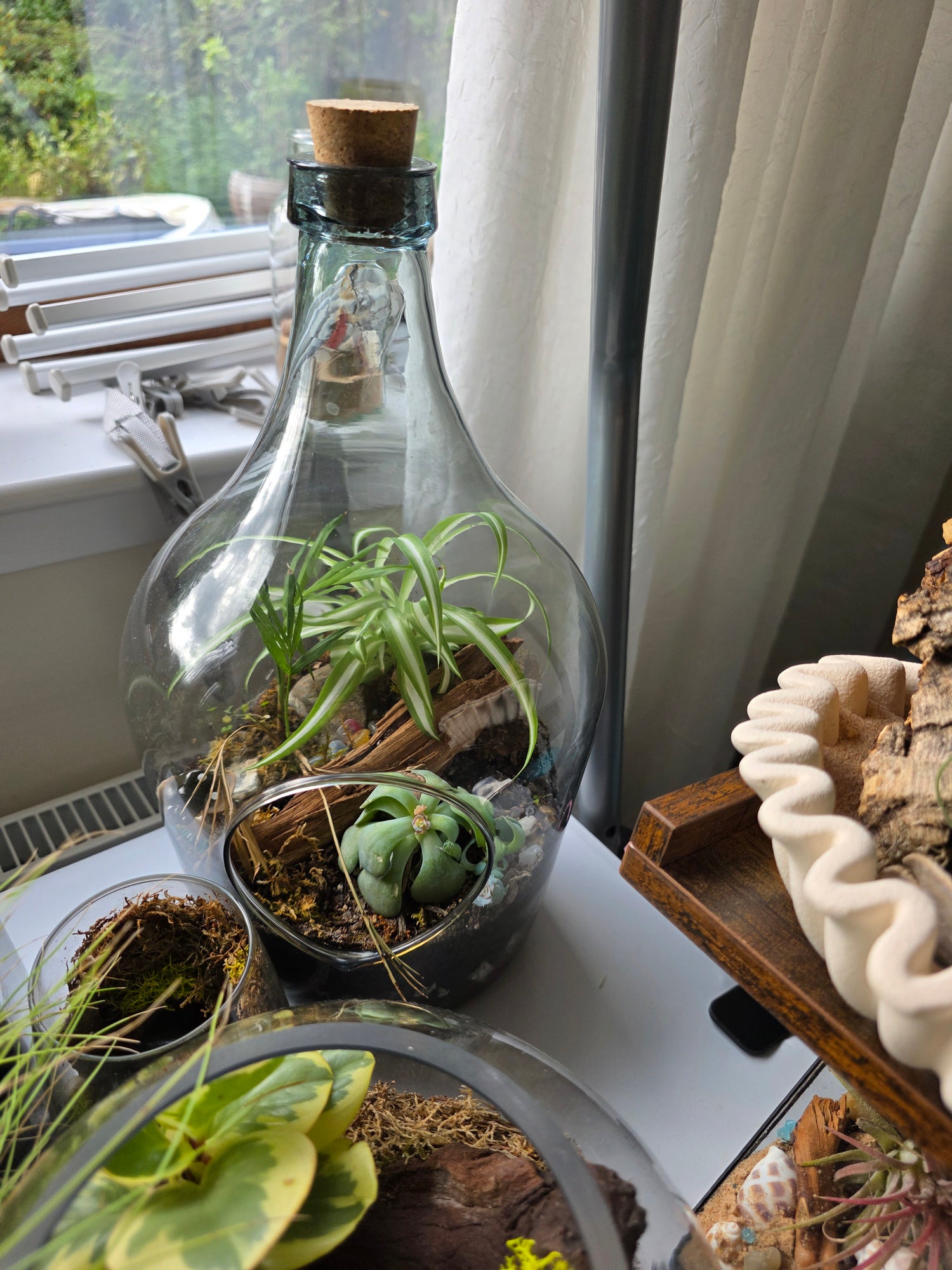 Terrariums